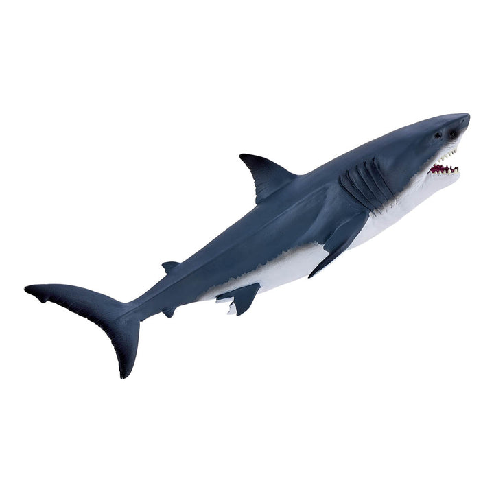 Great White Shark