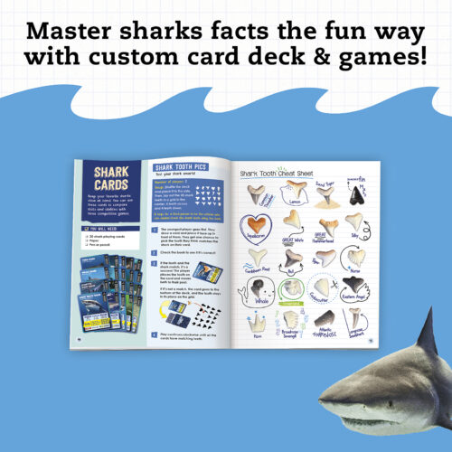 Shark-Tastic Teeth