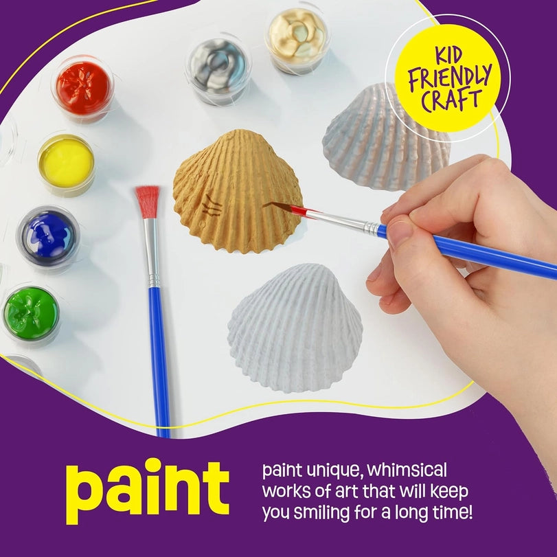 Sea Shell Painting Kit