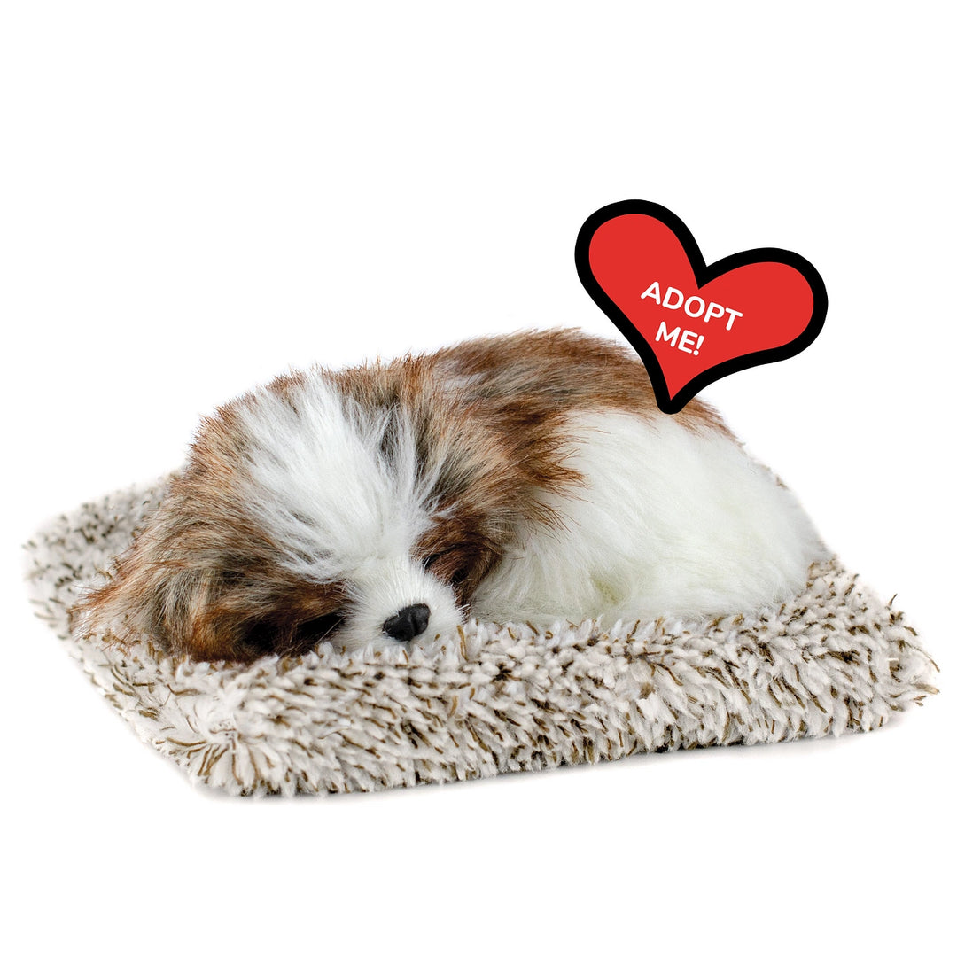 Mini Perfect Petzzz Shih Tzu