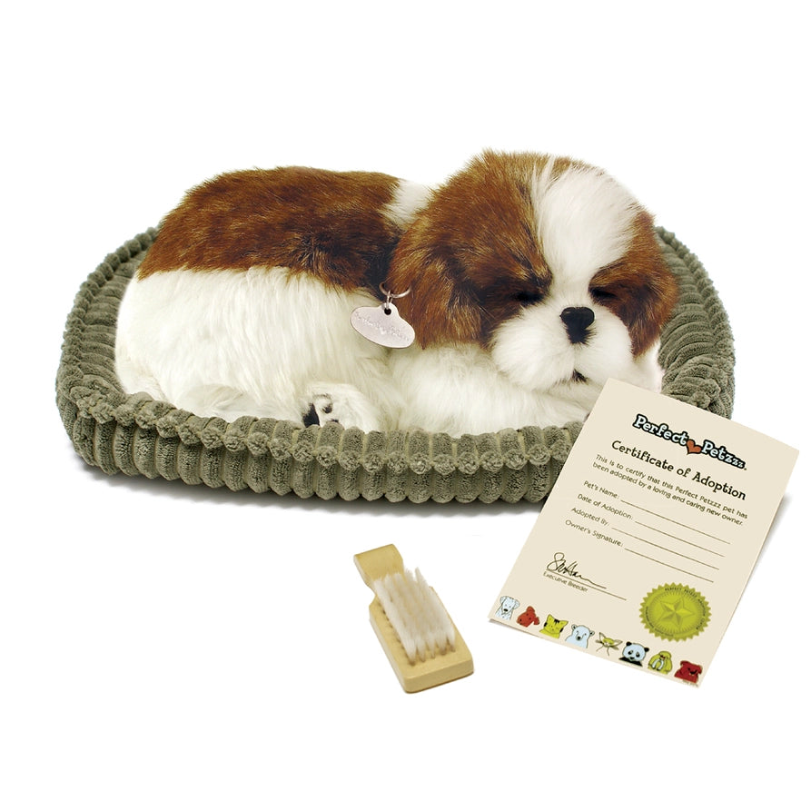 Perfect Petzzz Shih-Tzu