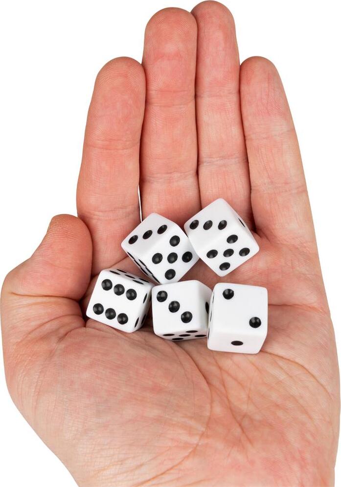 5 Dice, White Replacement Dice