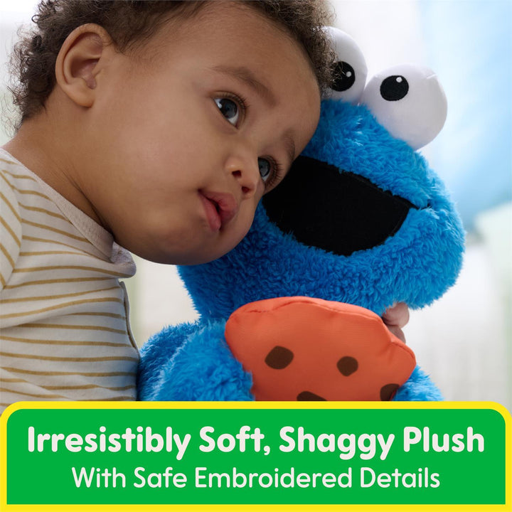 Sesame St Peek-A-Boo Cookie Monster, 11-Inch