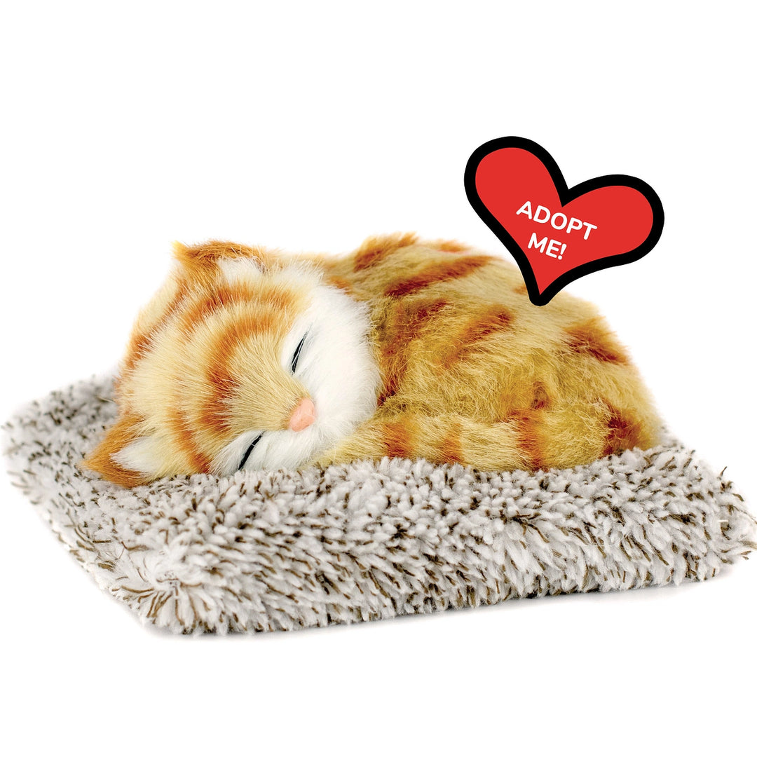 Perfect petzzz cat sales