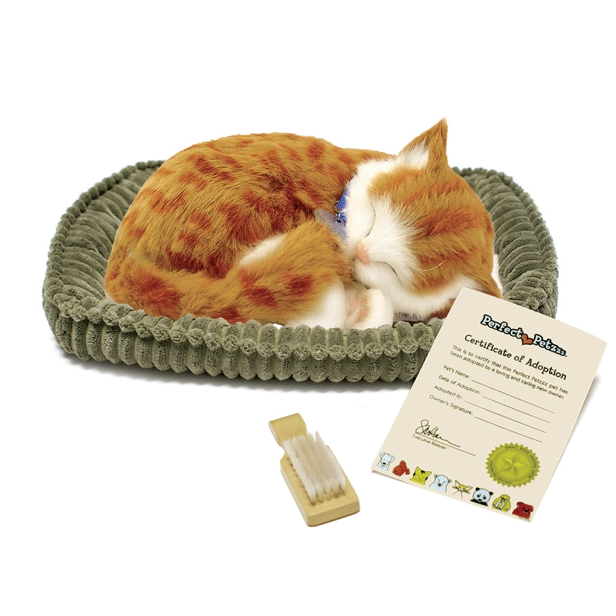 Perfect Petzzz Orange Tabby Cat