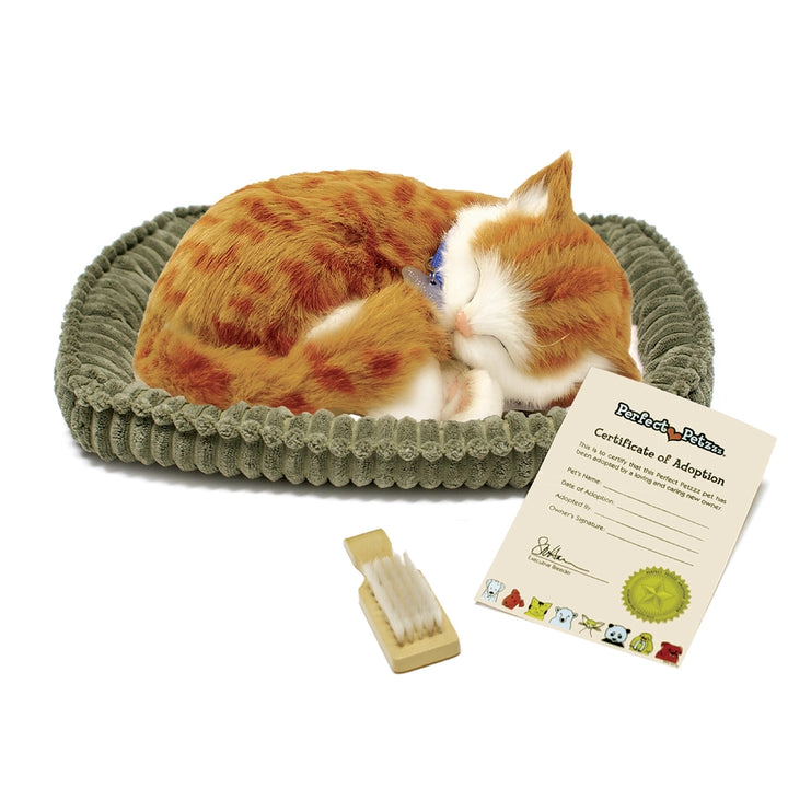 Perfect Petzzz Orange Tabby Cat