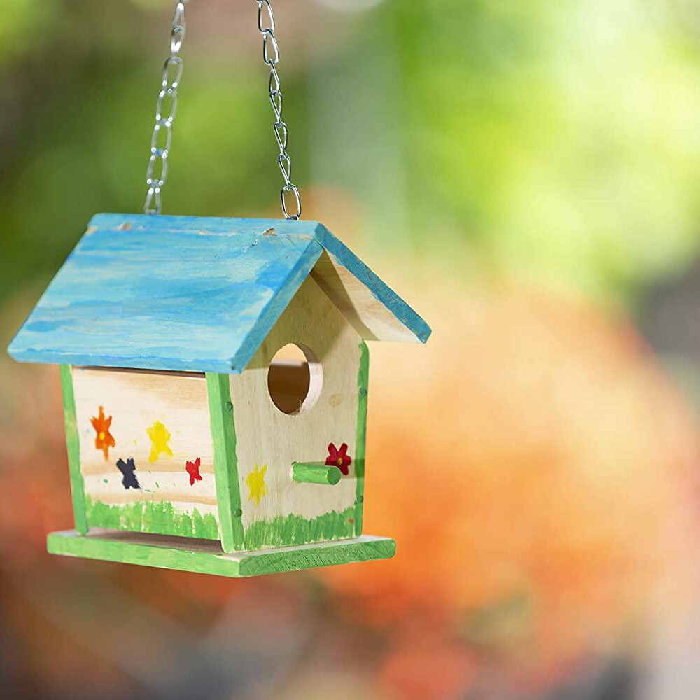 Beetle & Bee Build a Bird Bungalow (Assorted Colors)