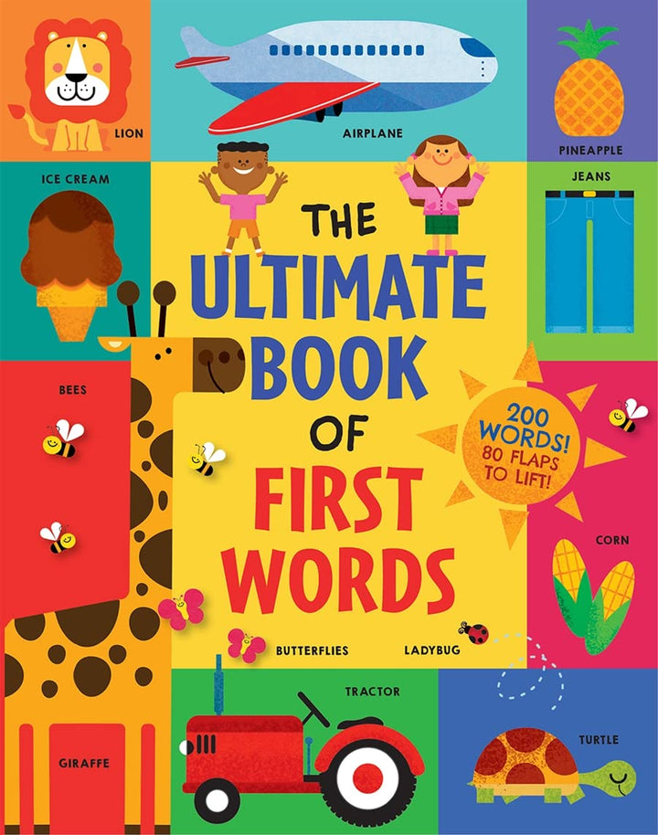 Ultimate Book Of First Words BB