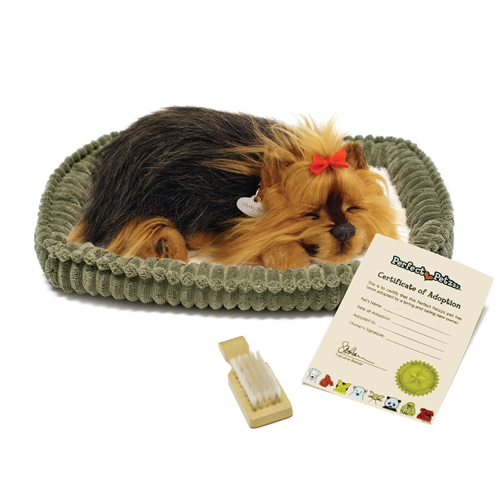 Perfect Petzzz Yorkie