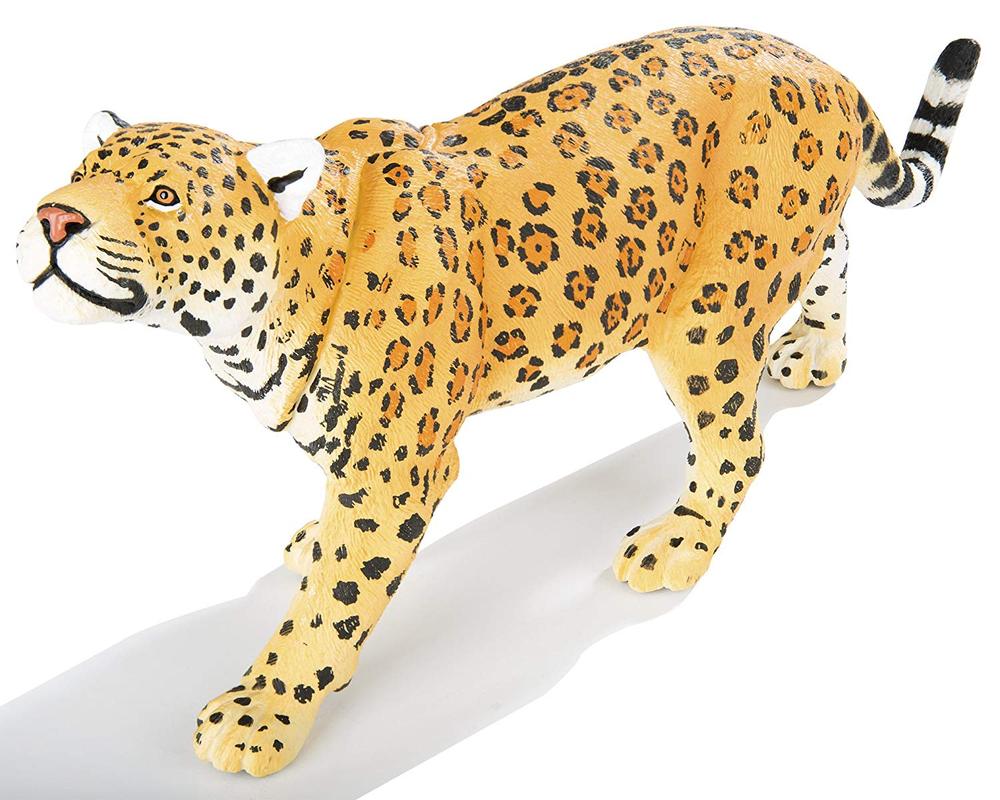 Wildlife Wonder Jaguar