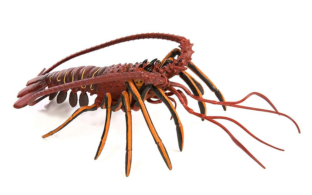 Incredible Creature Spiny Lobster