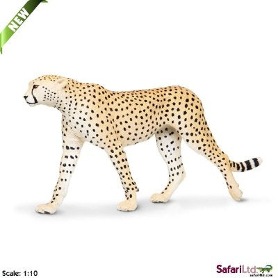 Wildlife Wonders Cheetah