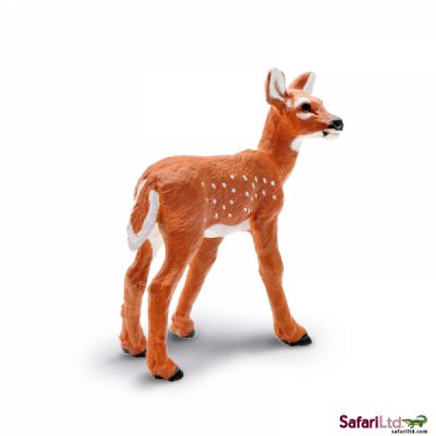 North American Wildlife Whitetail Fawn
