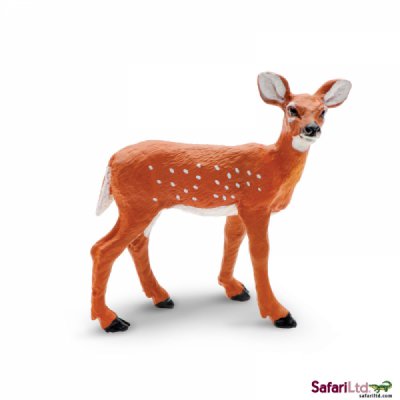 North American Wildlife Whitetail Fawn