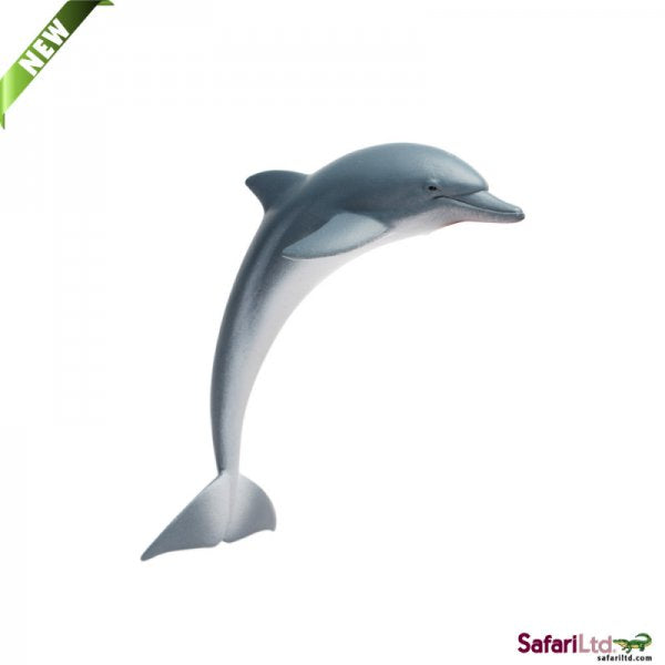 Sealife Dolphin