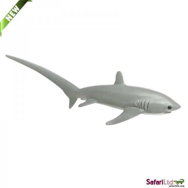 Sealife Thresher Shark