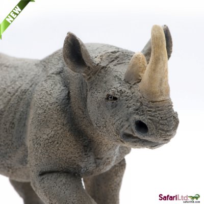 Safari Wild Black Rhino