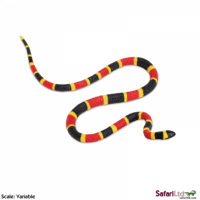 Incredible Creature Coral Snake Baby