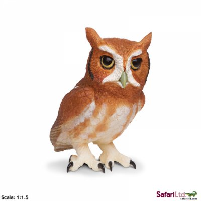 Incredible Creature Eastern Screech Owl