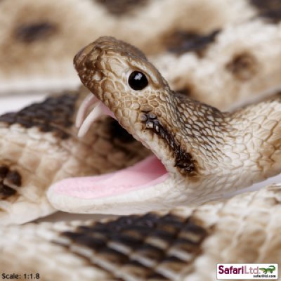 Incredible Creature Eastern Diamondback Rattlesnake