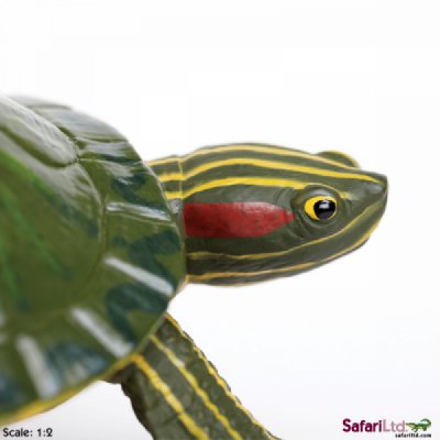 Incredible Creatures Red-Eared Slider Turtle