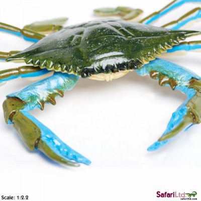 Incredible Creatures Blue Crab