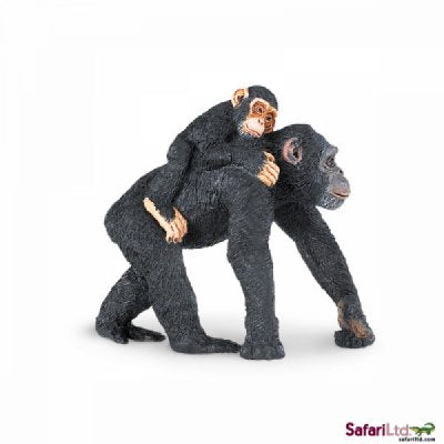 Safari Wild Chimpanzee with Baby