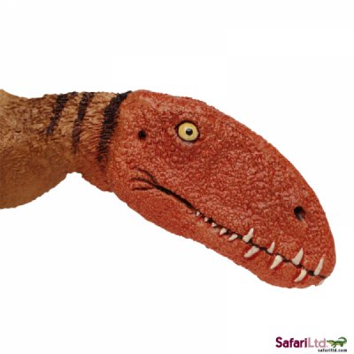 Dinosaur Dimorphodon