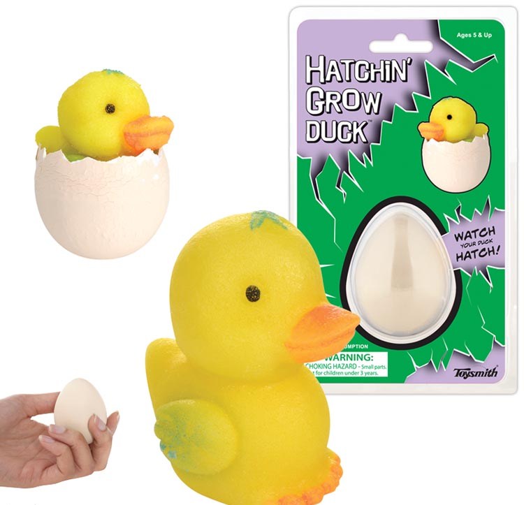 Hatching Duck