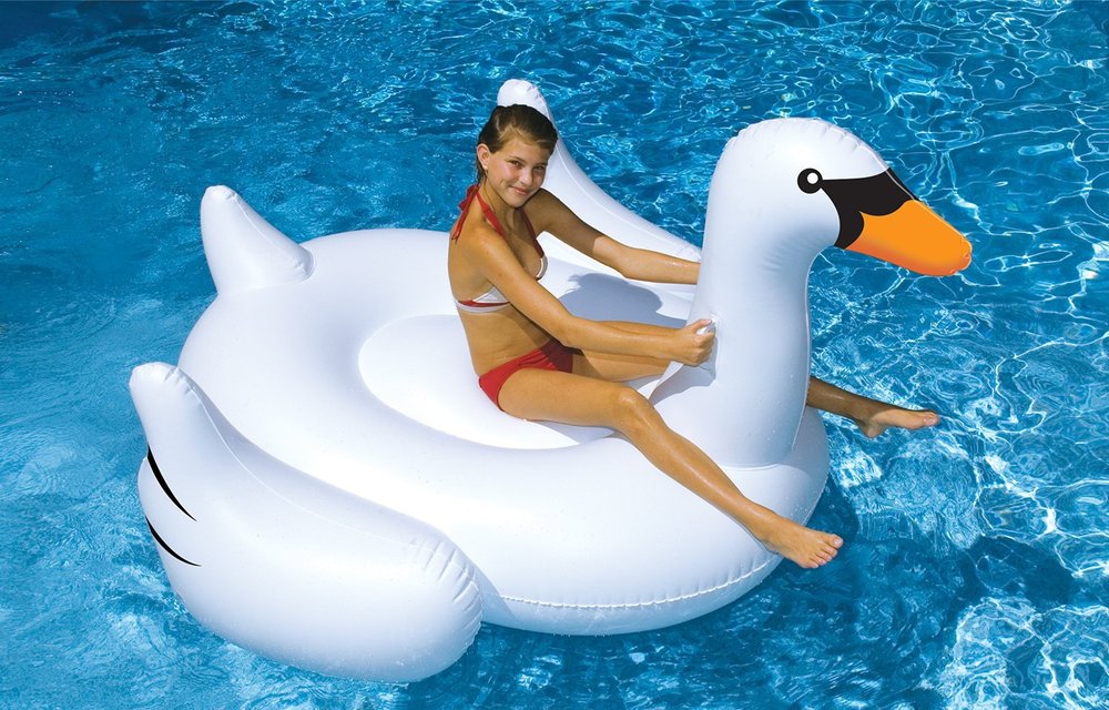 Giant Leisure Swan