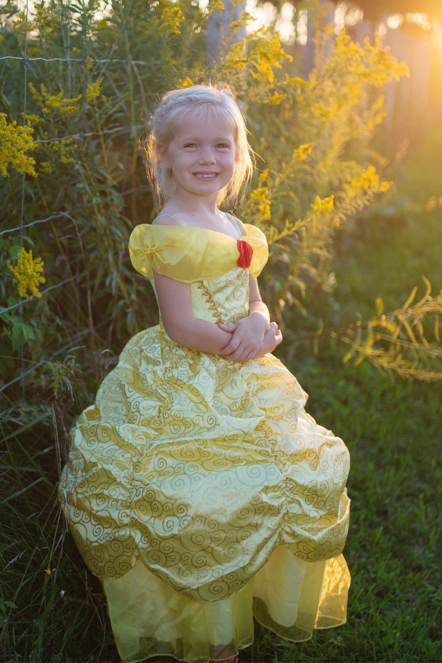 Deluxe Belle Gown (Size 5-6)