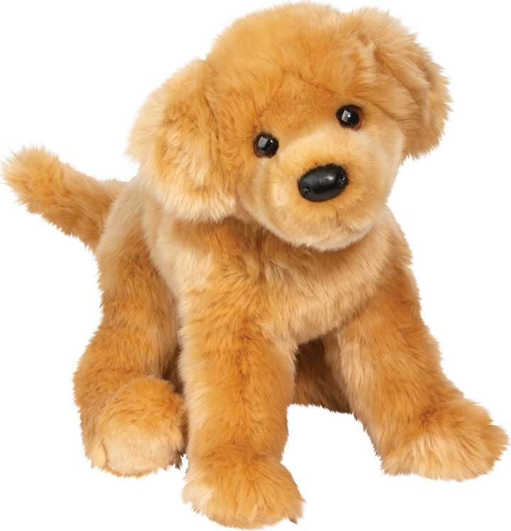Bella Golden Retriever
