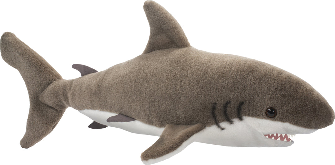 Fin Great White Shark