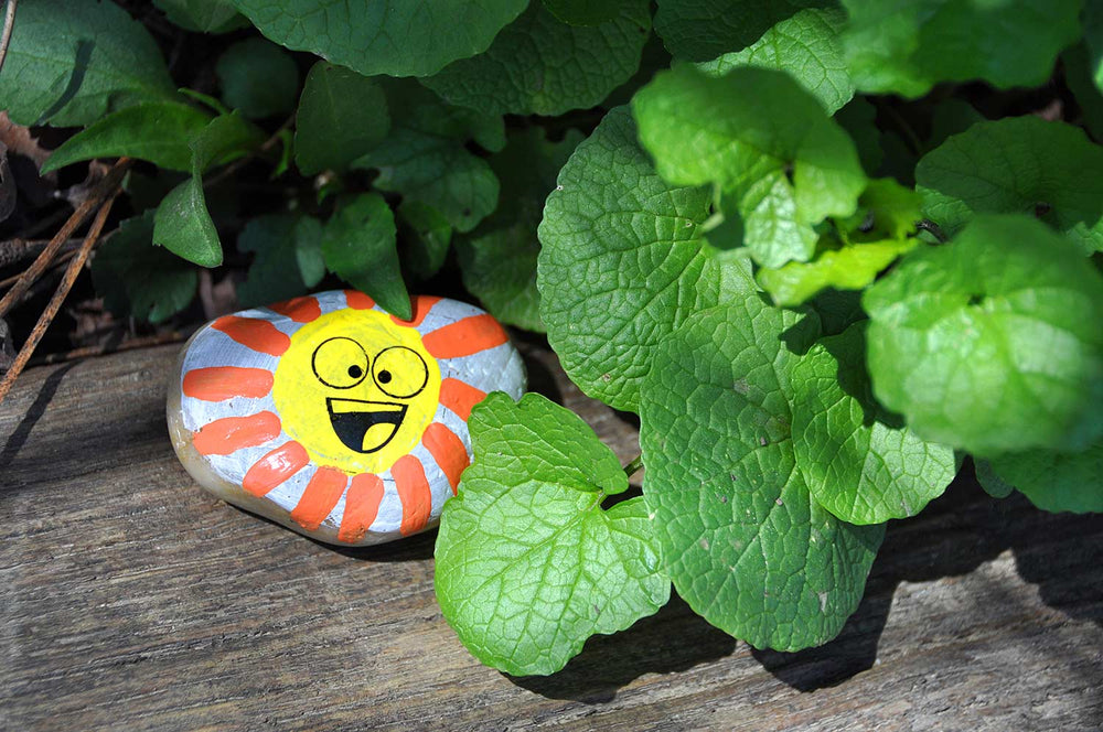 Hide & Seek Rock Painting Kit