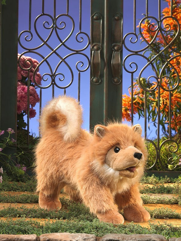 Pomeranian Puppy Puppet