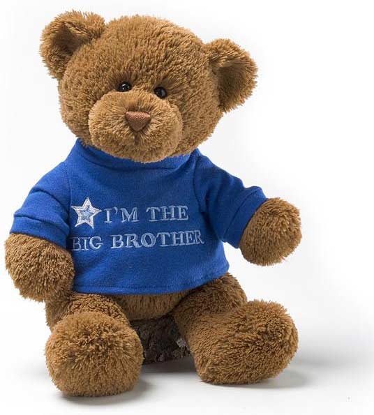 Big Brother Bear, 12"