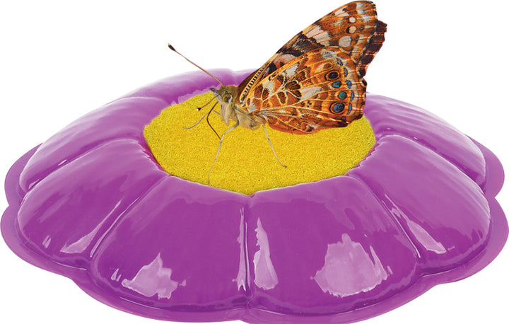 Butterfly Garden® Homeschool Edition