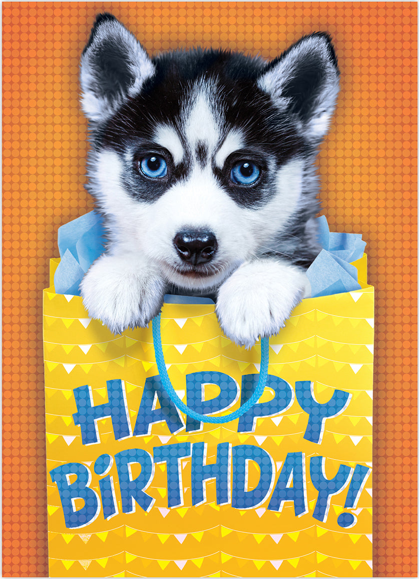 Photo Realistic Husky Foil Birthdaycard