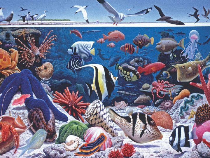 Ocean Life Puzzle (500 Pc)
