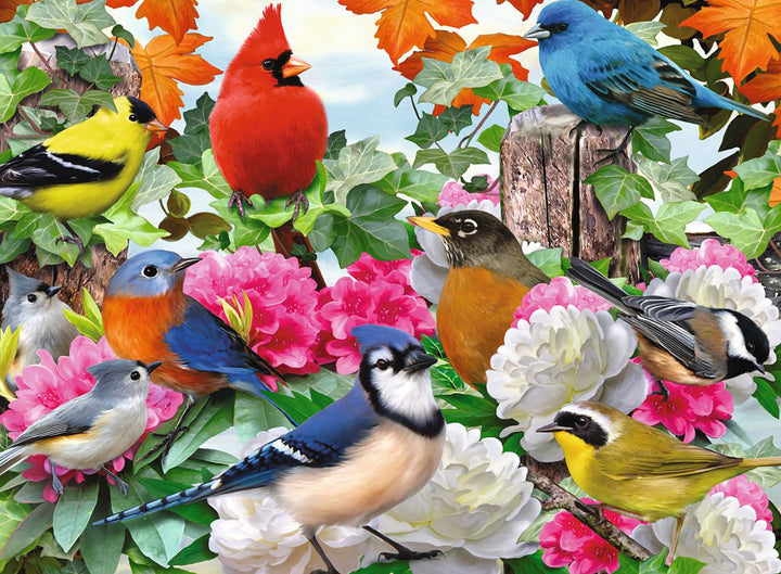 Garden Birds 500pc