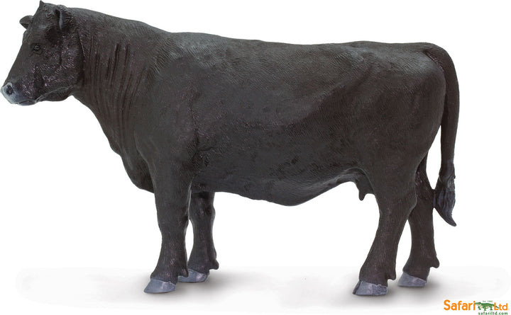 Farm: Angus Cow