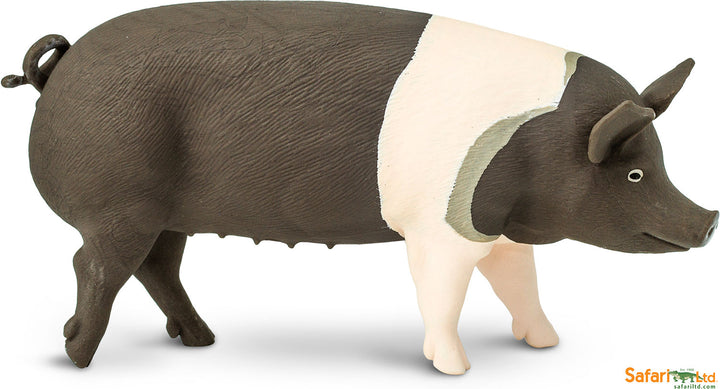 Farm: Hampshire Pig