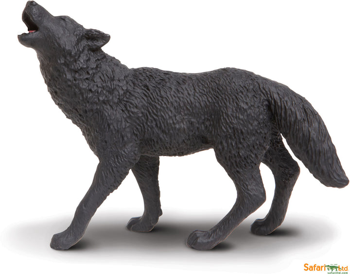 North American Wildlife Black Wolf