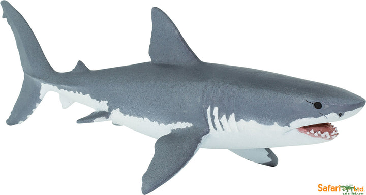 Sea: Great White Shark