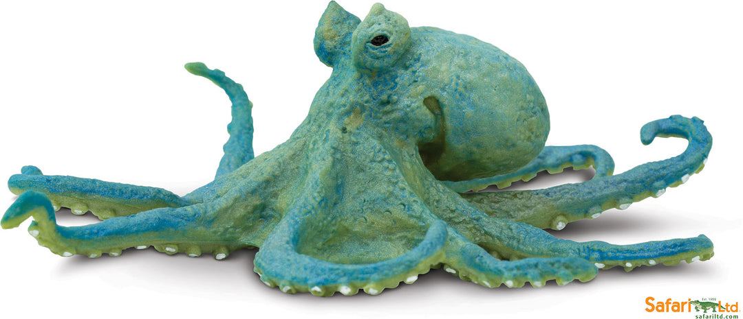 Sea: Octopus