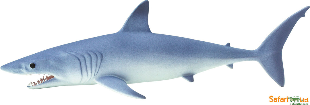 Sea: Mako Shark