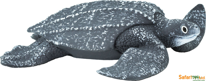 Sea: Leatherback Sea Turtle