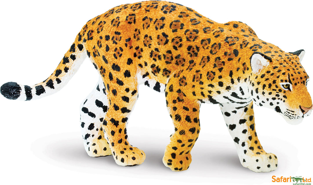 Wild: Jaguar