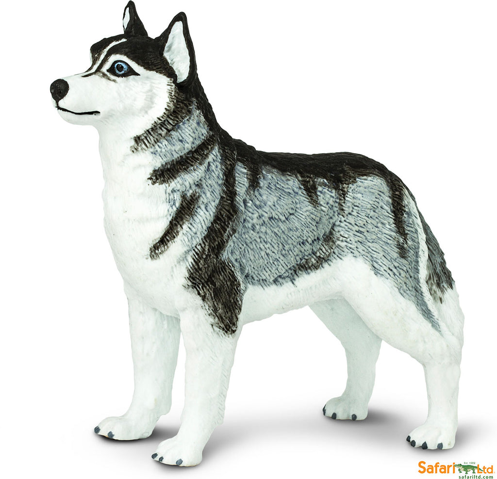 Dog: Siberian Husky – Stevenson's Toys & Games
