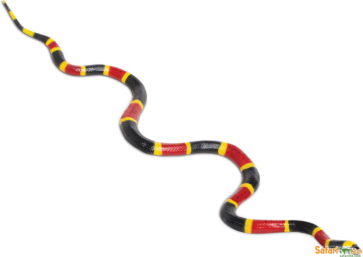 Incredible Creature Coral Snake